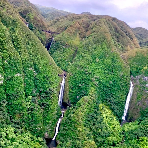 Meet your Posher, Ai - Picture 3 of 8